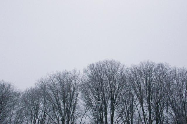 Park : Photographed by Pablo Ravazzani