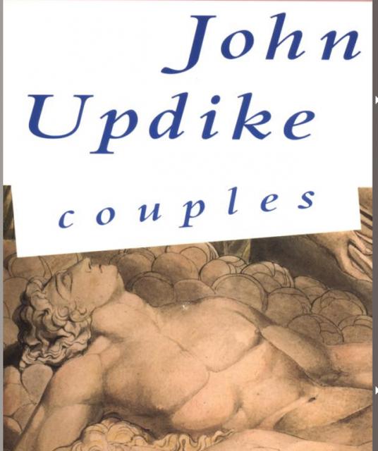 TI's weekend reading will be "Couples" by John Updike. I'm thinking "all the details "Icestorm" glossed over