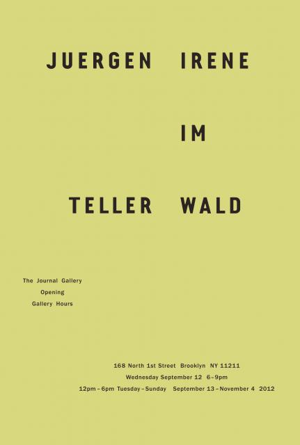 Viewing Hours   Tuesday - Sunday  12 - 6 PM 168 North 1st Street  Brooklyn  NY 11211