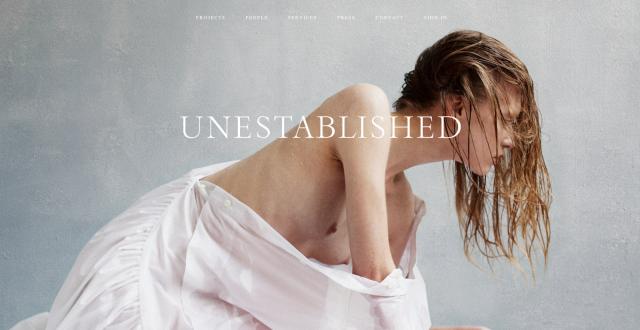 Unestablished collaborates with marketing departments, in-house studios, advertising and design agencies.