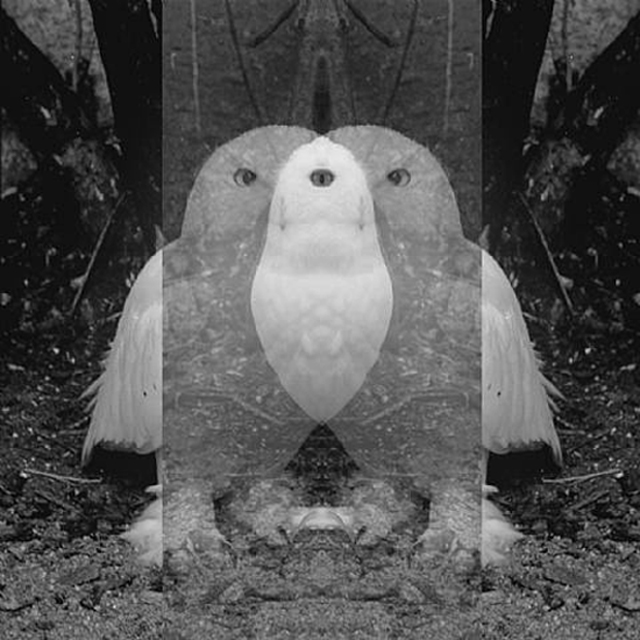 "UHU", 2007 by Fabien Marti via vvork.com